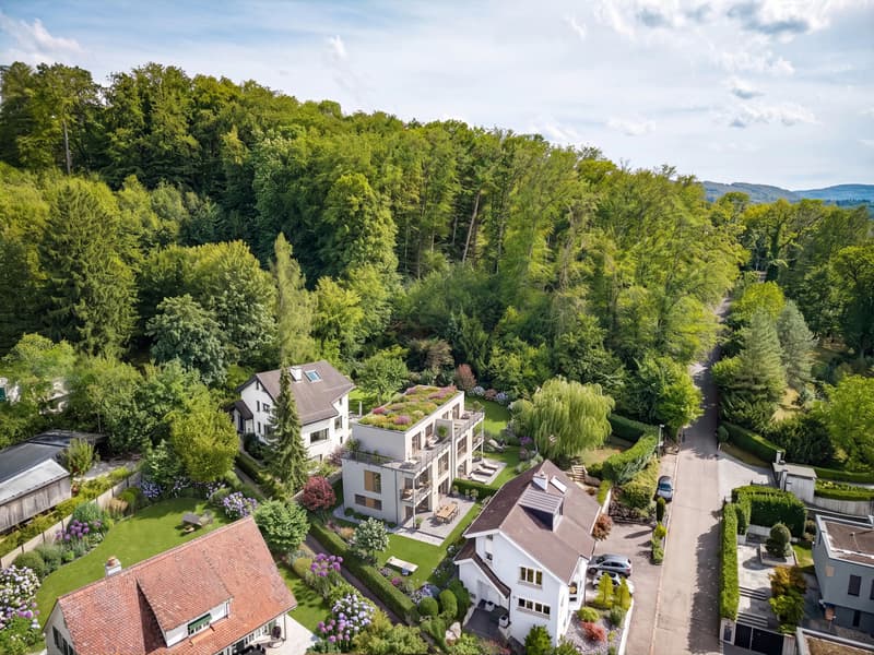 693 M² BAULAND AN BEGEHRTER HANGLAGE IN DORNACH (2)