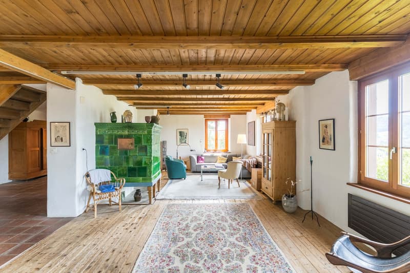 HISTORISCHER CHARME AN HANGLAGE MIT 3'471 M² GRUNDSTÜCKSFLÄCHE (2)