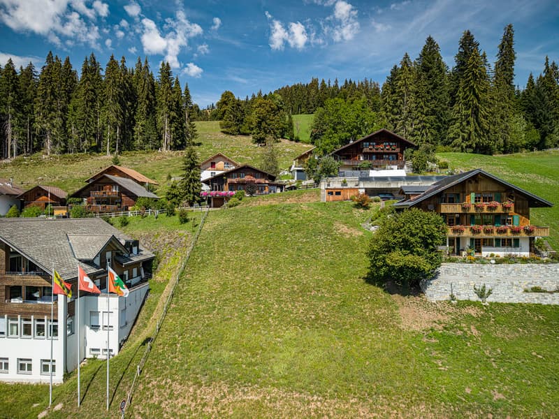 ATTRAKTIVE BAULANDPARZELLE INMITTEN DER BERNER ALPENWELT (3)