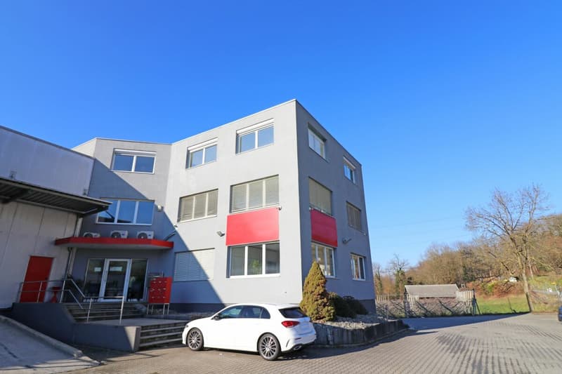 Füllinsdorf Wölferstrasse 31 (8)