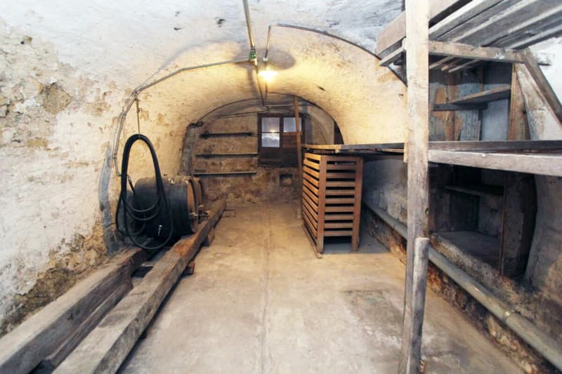 Renovation-requiring farmhouse with large barn (6)