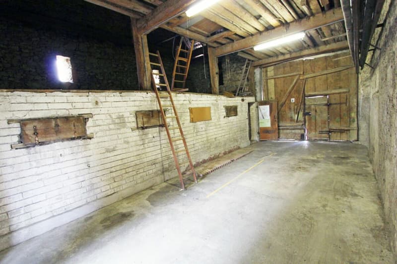 Renovation-requiring farmhouse with large barn (3)