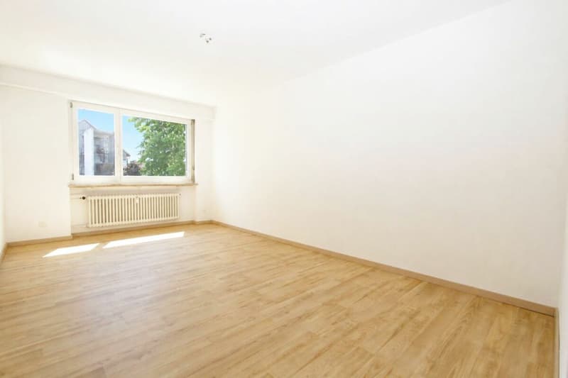 Münchenstein Schaulistrasse 4 (13)