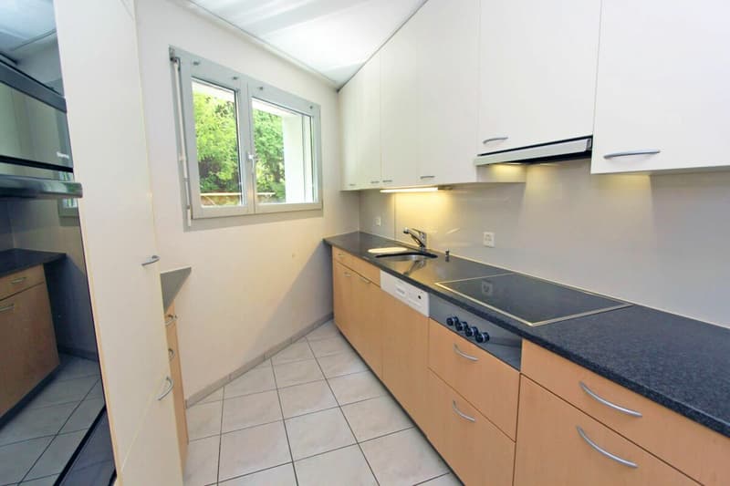 Therwil Buchenrain 31a (7)