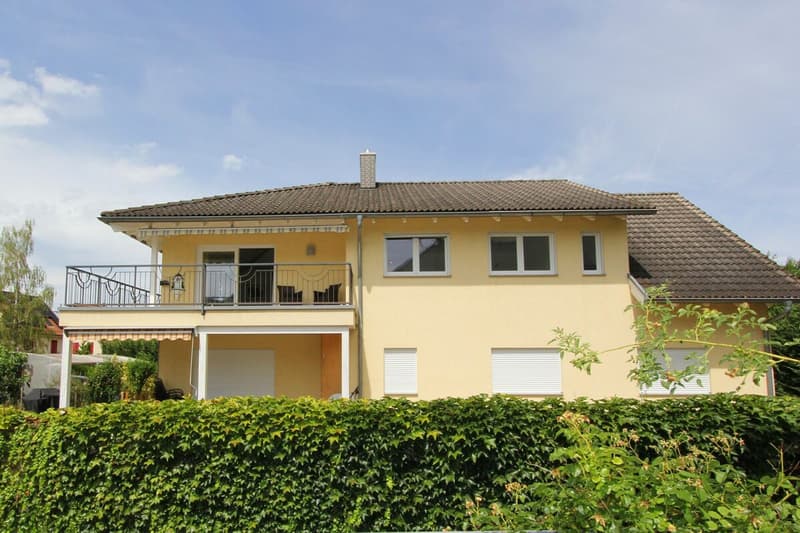 Dornach Apfelseestrasse 59 (11)