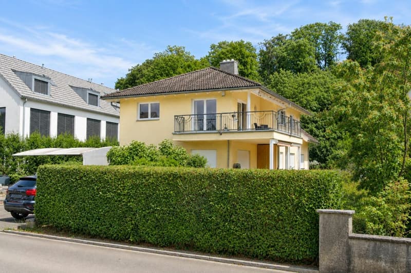 Dornach Apfelseestrasse 59 (12)