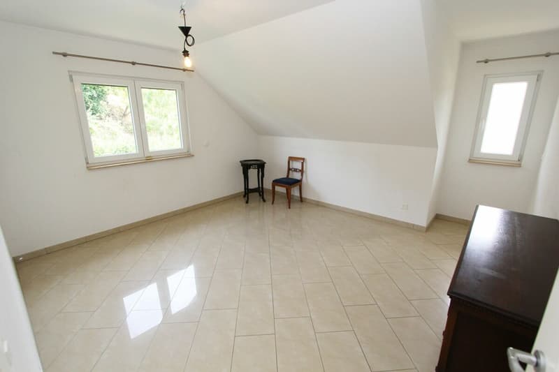 Dornach Apfelseestrasse 59 (9)
