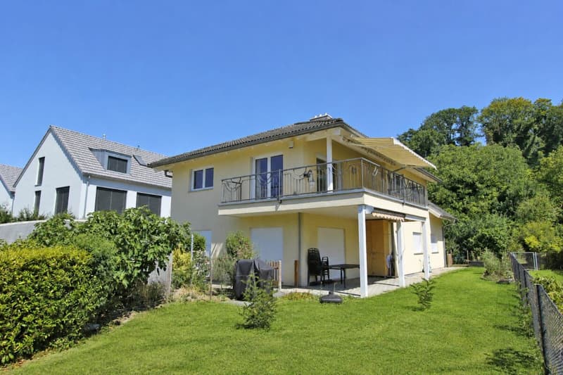 Dornach Apfelseestrasse 59 (1)