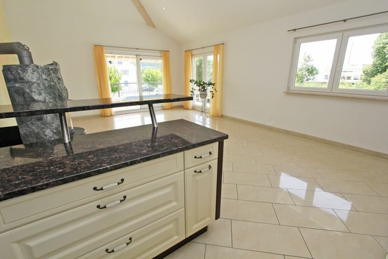 Dornach Apfelseestrasse 59 (4)