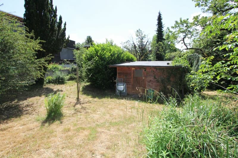 Bauparzelle (4)
