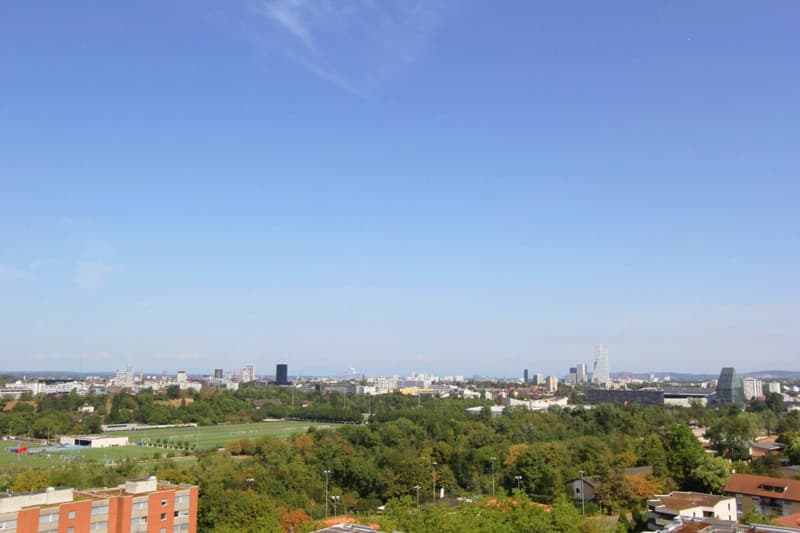 Dachwohnung der Extra-Klasse (1)