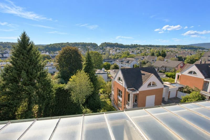 Bottmingen Oberwilerstrasse 39 (16)