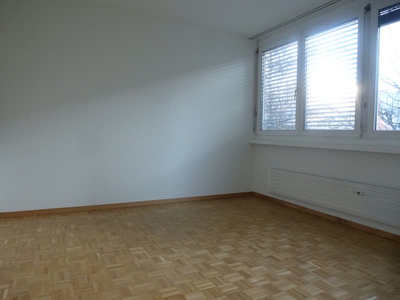Ampio appartamento luminoso di 3,5 locali con balcone (7)