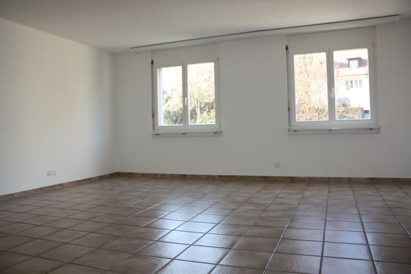 4 1/2-Zimmerfamilienwohnung sucht Nachmieter (9)
