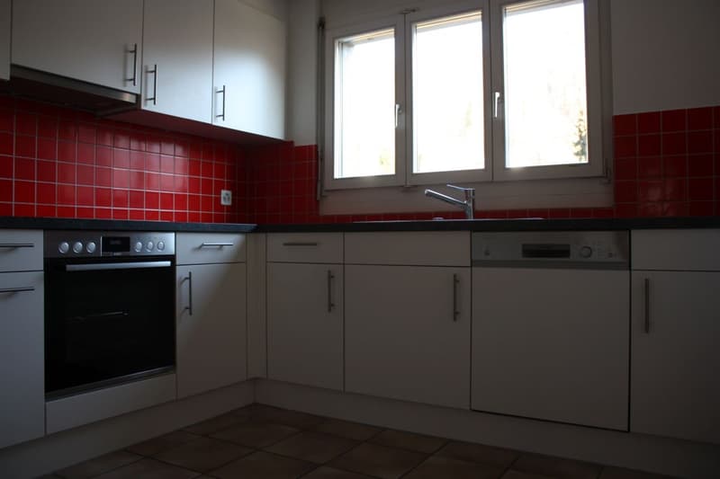 4 1/2-Zimmerfamilienwohnung sucht Nachmieter (3)