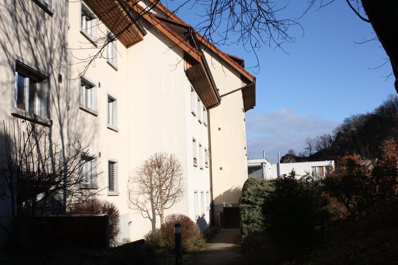4 1/2-Zimmerfamilienwohnung sucht Nachmieter (1)