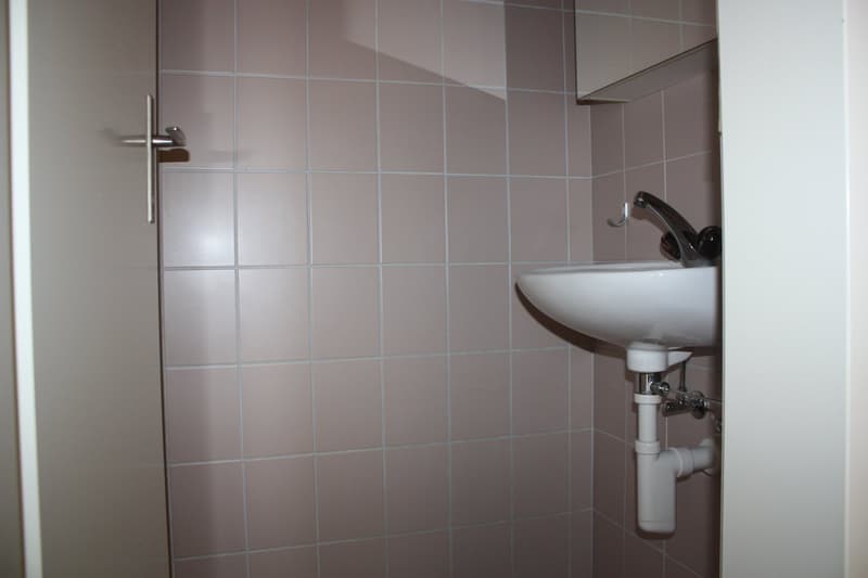 4 1/2-Zimmerfamilienwohnung sucht Nachmieter (8)