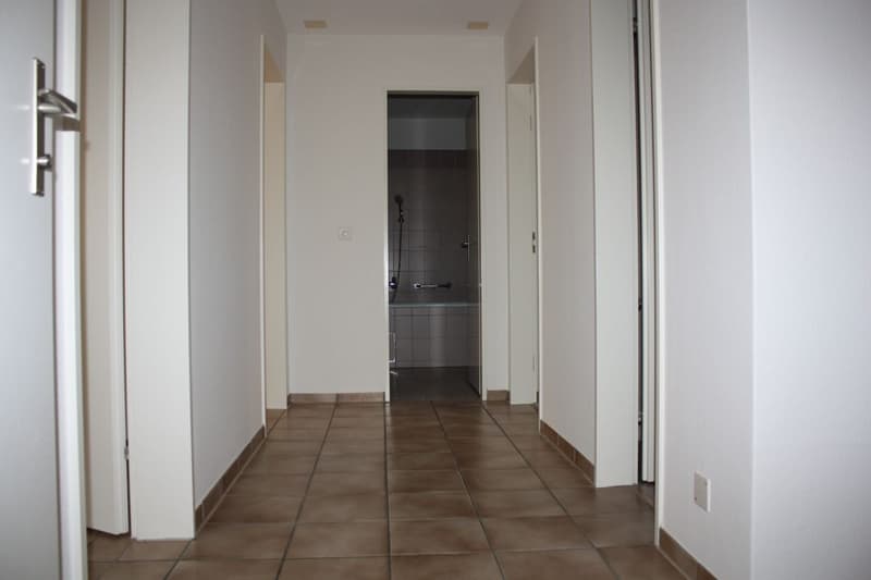 4 1/2-Zimmerfamilienwohnung sucht Nachmieter (2)