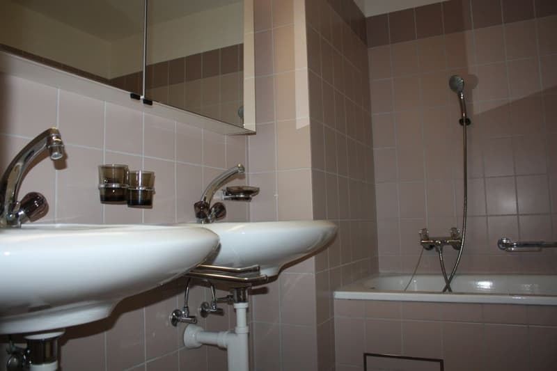 4 1/2-Zimmerfamilienwohnung sucht Nachmieter (7)