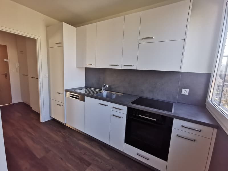 modern kitchen, white cabinets, wooden floor, sink, dishwasher, electric oven