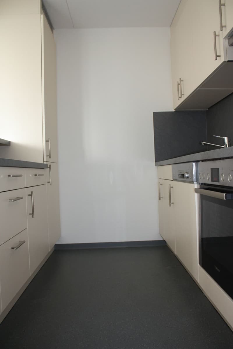 Ideal family apartment for rent (4)