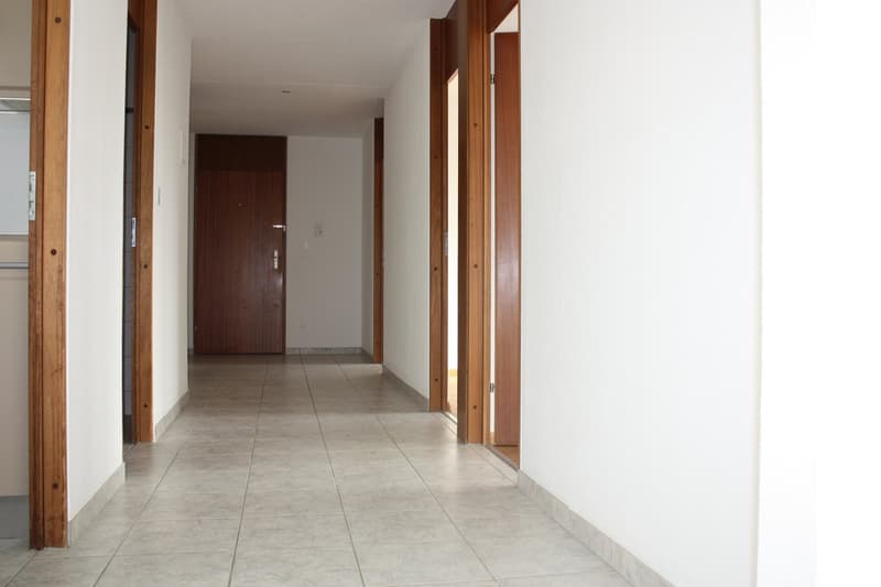 Ideal family apartment for rent (3)