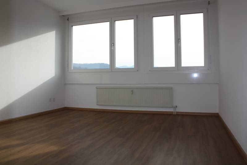 Ideal family apartment for rent (8)