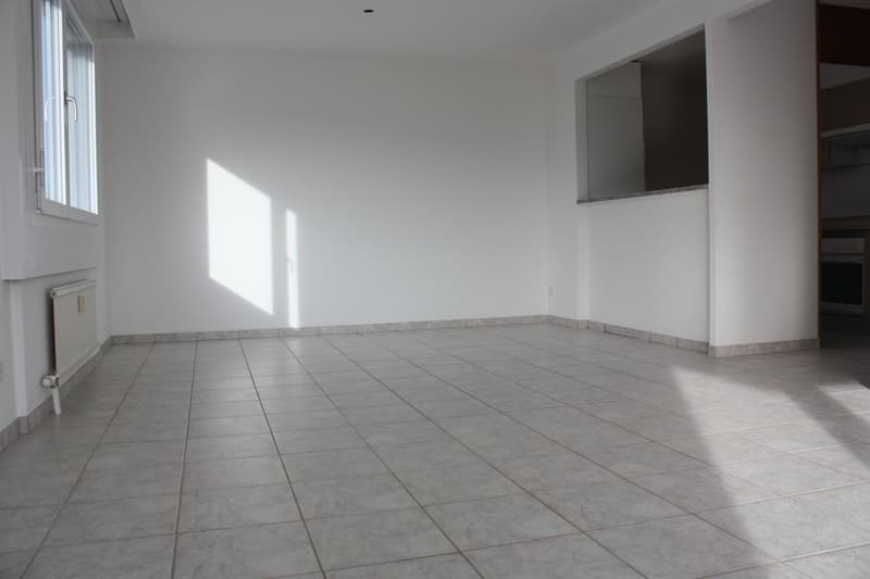 Ideal family apartment for rent (5)