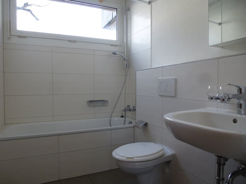 Appartement lumineux 3 1/2 pièces avec balcon recherche un sous-locataire (8)