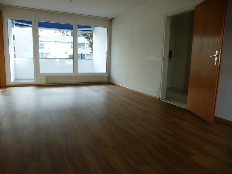 Appartement lumineux 3 1/2 pièces avec balcon recherche un sous-locataire (4)