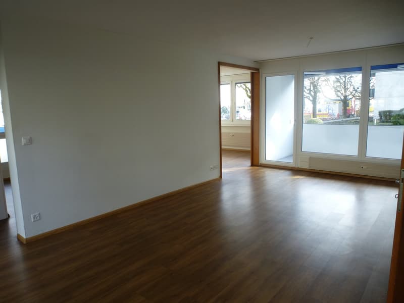 Appartement lumineux 3 1/2 pièces avec balcon recherche un sous-locataire (5)