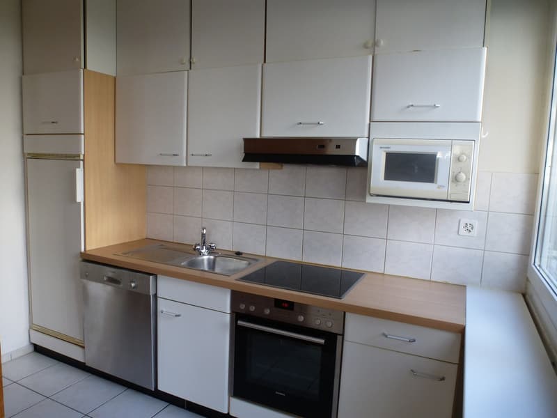 Appartement lumineux 3 1/2 pièces avec balcon recherche un sous-locataire (3)