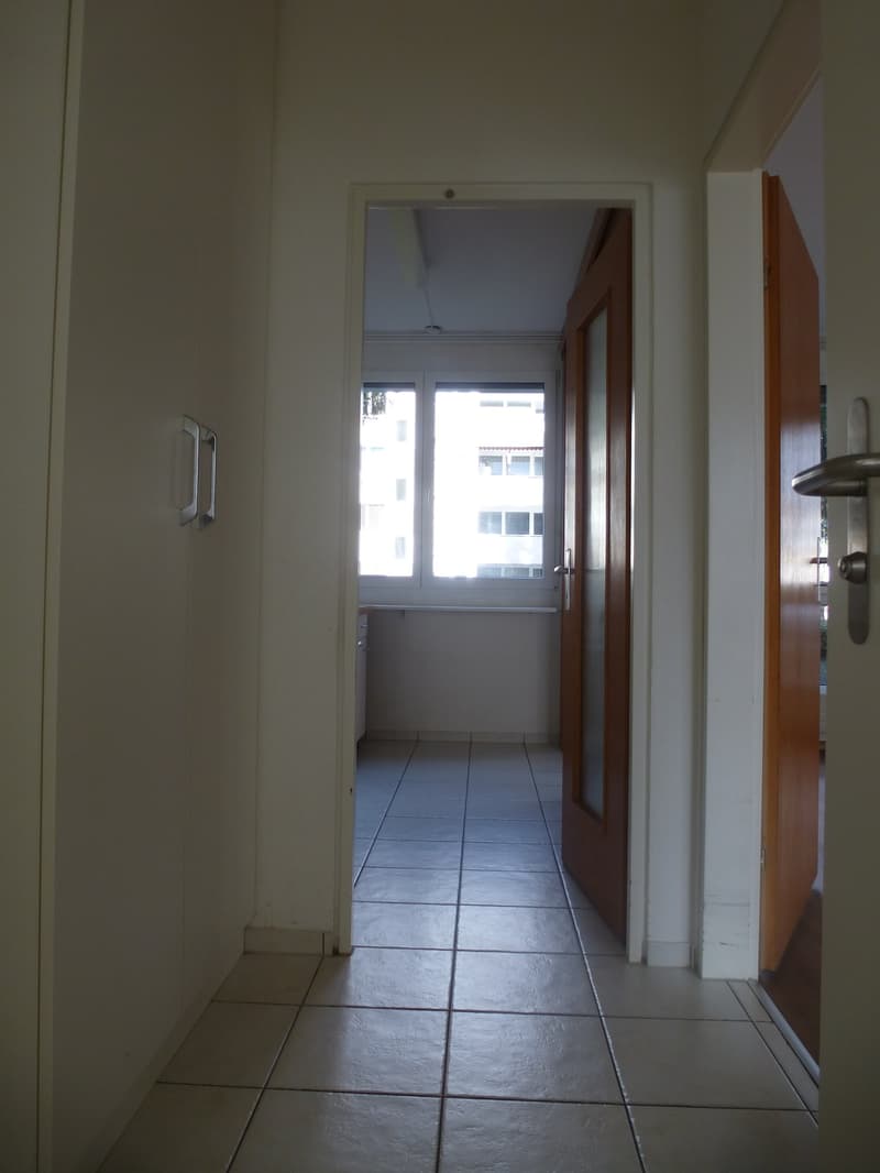 Appartement lumineux 3 1/2 pièces avec balcon recherche un sous-locataire (2)