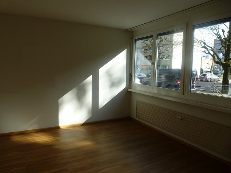 Appartement lumineux 3 1/2 pièces avec balcon recherche un sous-locataire (7)