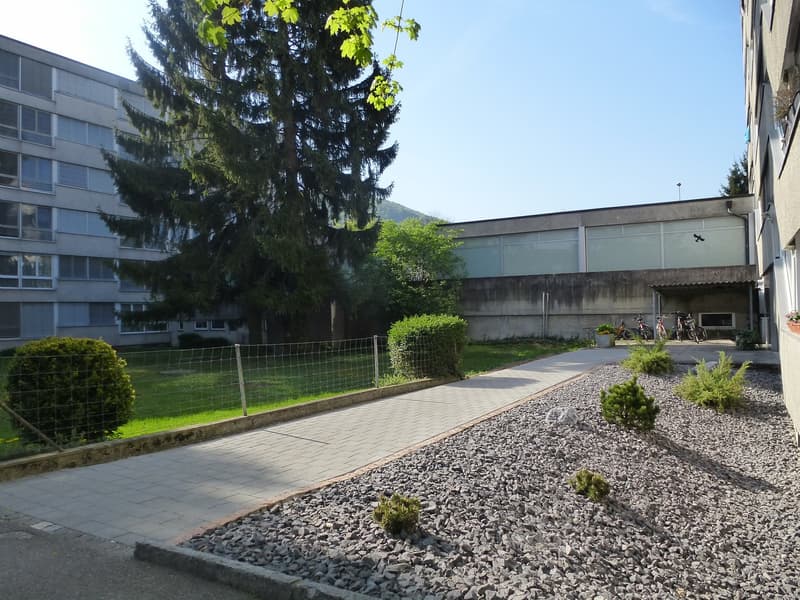 Well-maintained apartment in central Muttenz (1)