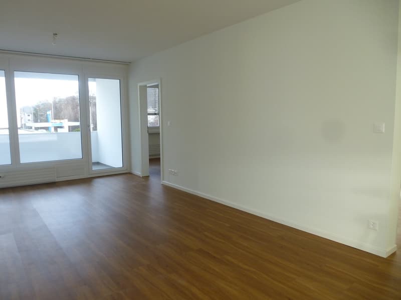 Bright spacious 3.5-room apartment with balcony (7)