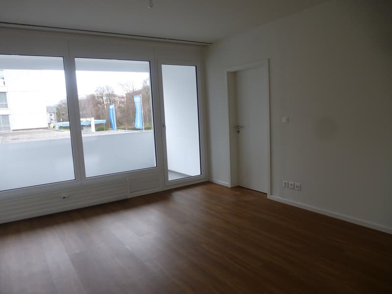 Bright spacious 3.5-room apartment with balcony (6)
