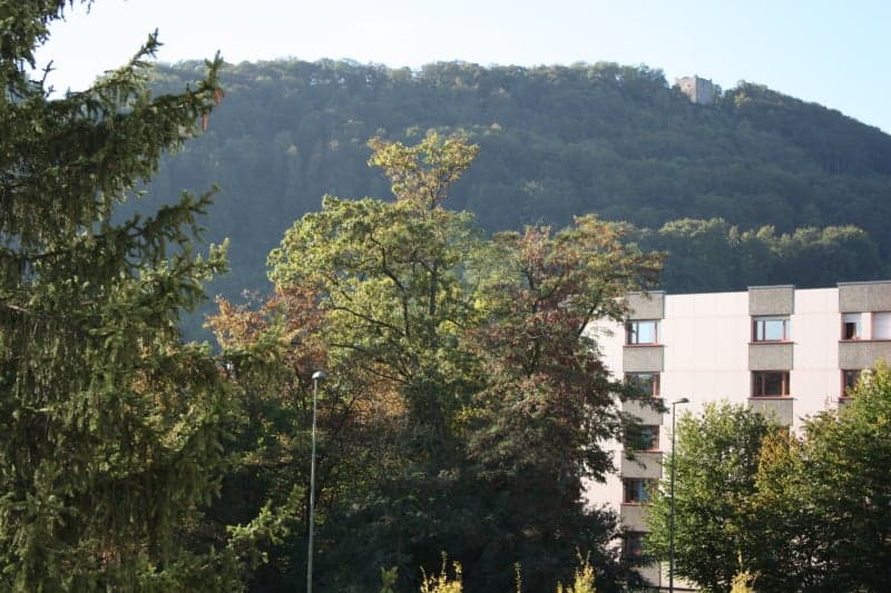 Bright spacious 3.5-room apartment with balcony (1)