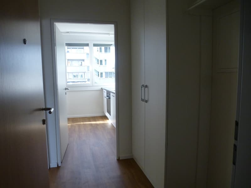 Bright spacious 3.5-room apartment with balcony (3)