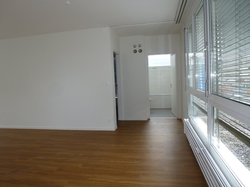Bright spacious 3.5-room apartment with balcony (5)