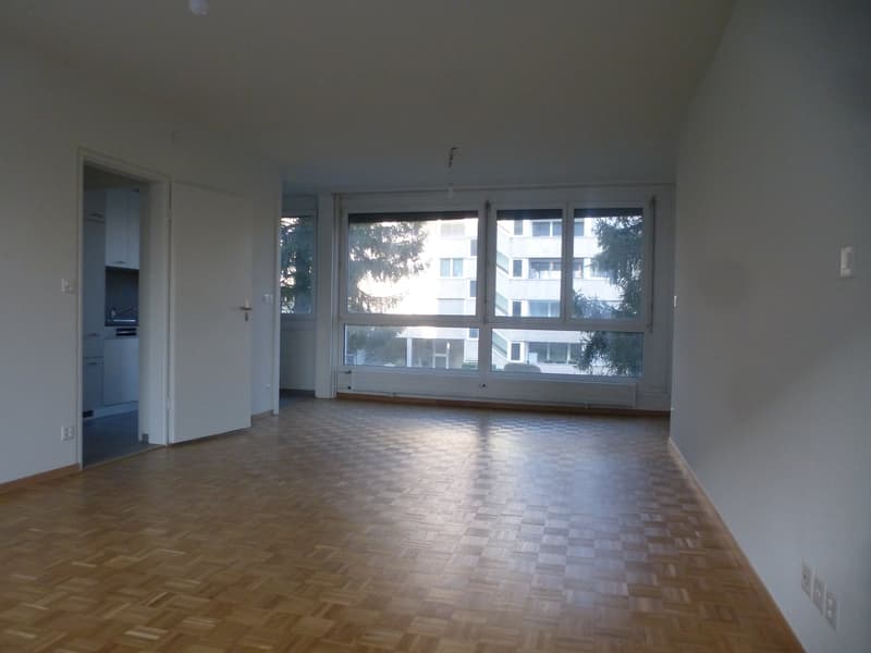 Bright spacious 3.5-room apartment with balcony (4)