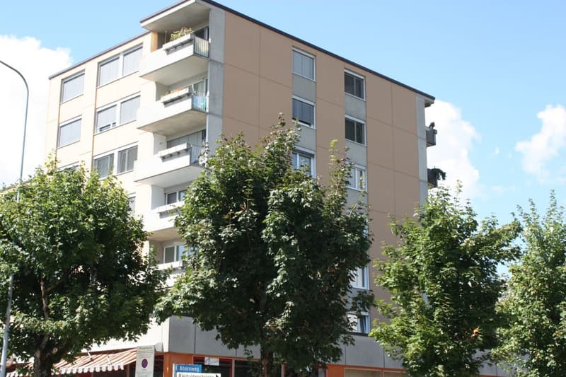 3 1/2-Zimmerwohnung (1)