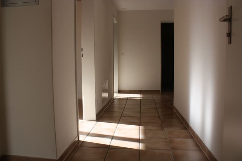 Gemütliche Dachwohnung (2)