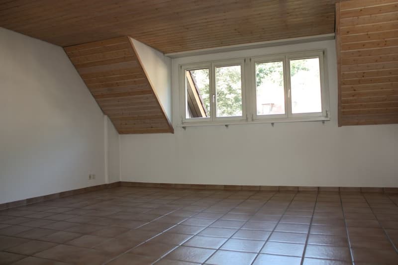 Gemütliche Dachwohnung (9)