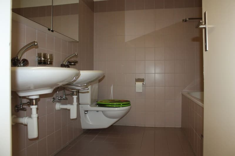 Gemütliche Dachwohnung (8)