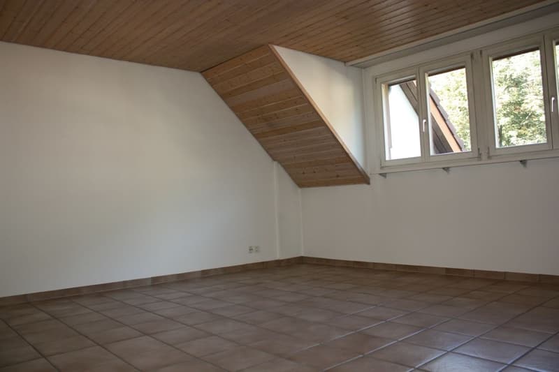 Gemütliche Dachwohnung (7)
