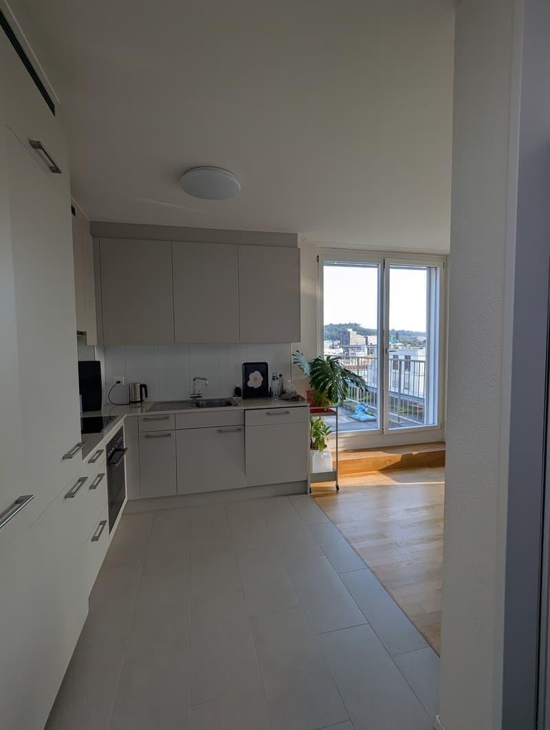 Bright 2.5-room apartment (5)