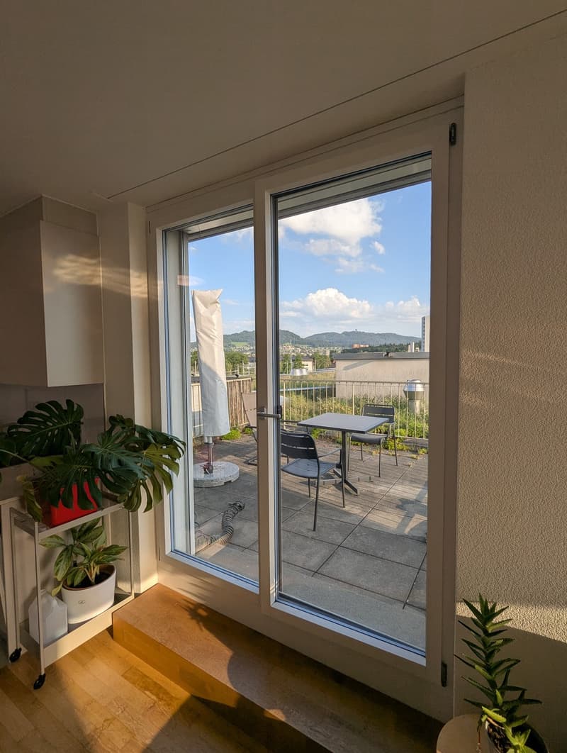 Bright 2.5-room apartment (3)