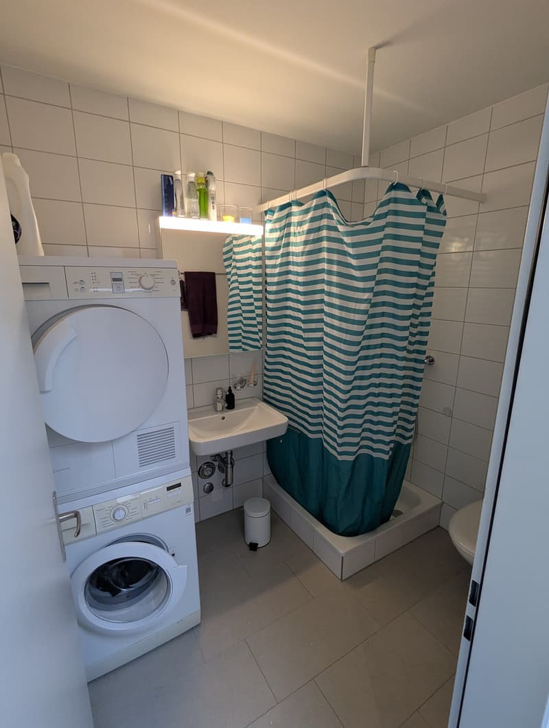Bright 2.5-room apartment (4)