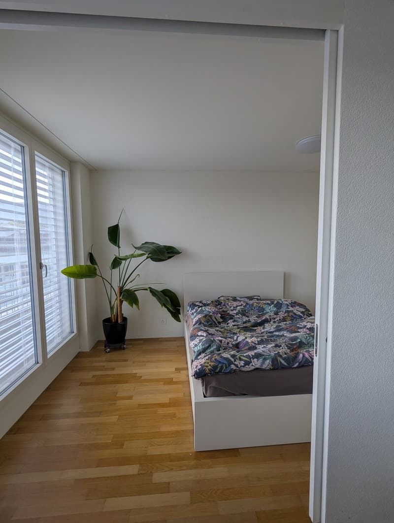 Bright 2.5-room apartment (7)